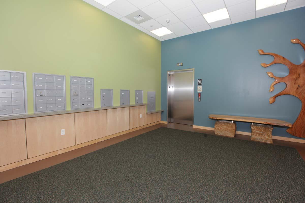 Gallery Photo 3